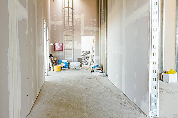 Best Drywall Repair  in Brownsville, PA